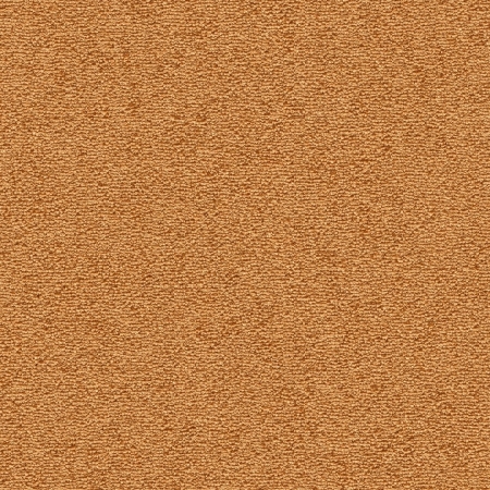 Venus - 1P22